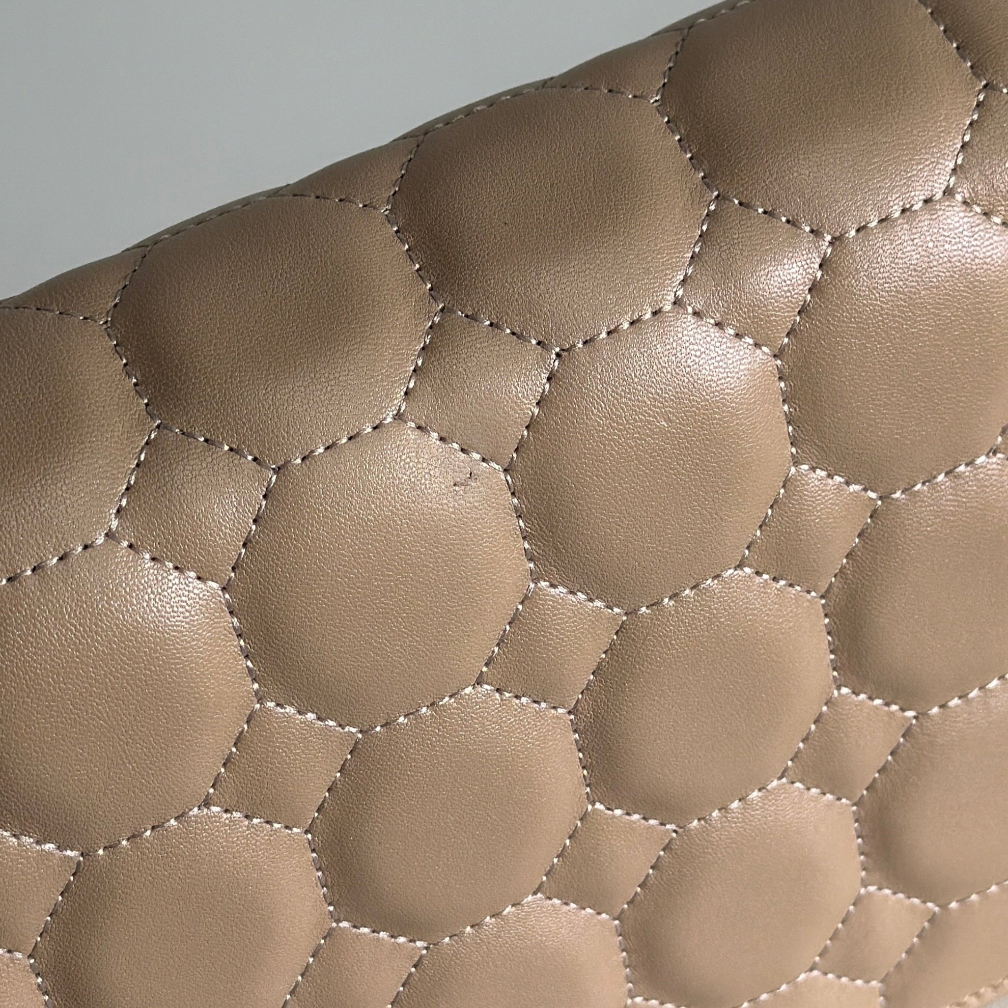 Imperfections Sale - Aster Bag in Nude